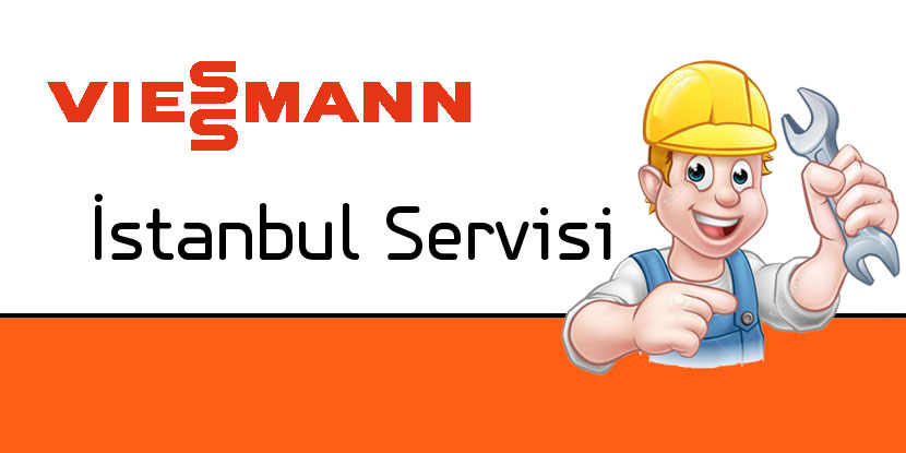 Erenköy Viessmann Servisi